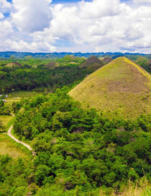 Bohol